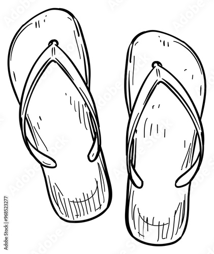 beach slippers handdrawn illustration