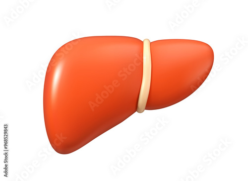 Liver vector 3d icon. Human organ cute cartoon illustration, isolated on white background. Simple design element, metabolism concept