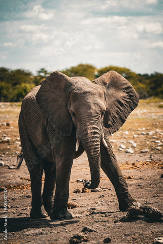 Africa