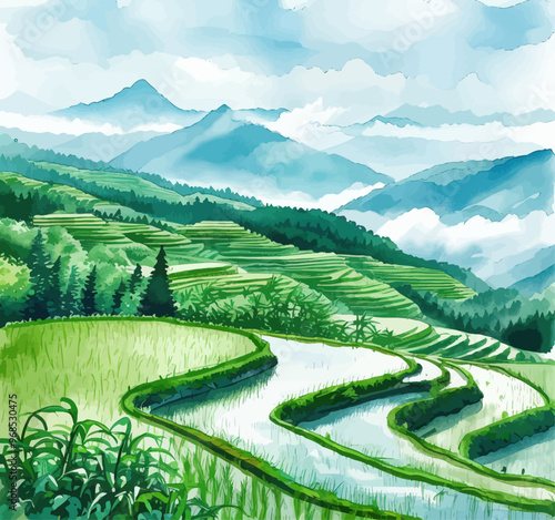 Rice Terrace with Mountain View