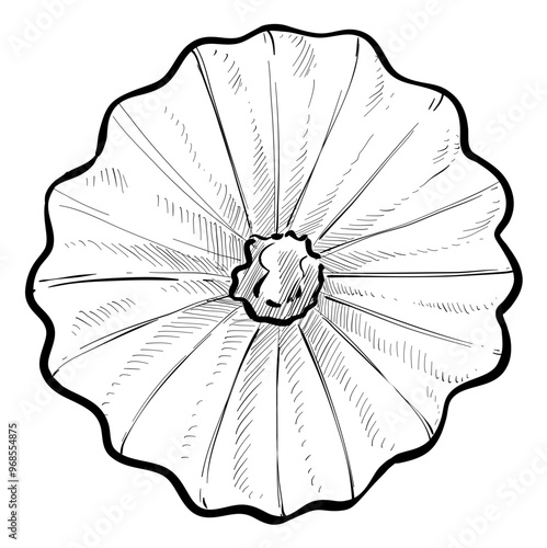 biscuits handdrawn illustration