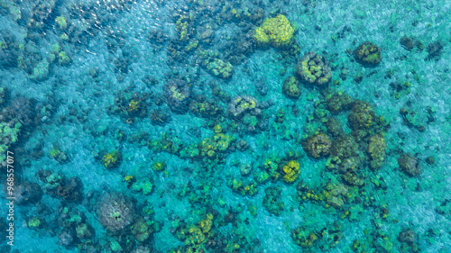 Top view. Summer sea water, blue surface. The water is clear with ripples and sparkles in the sunlight and you can see coral under the sea 