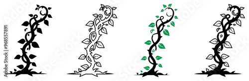 Climbing Vine with Leaves Vector Design.