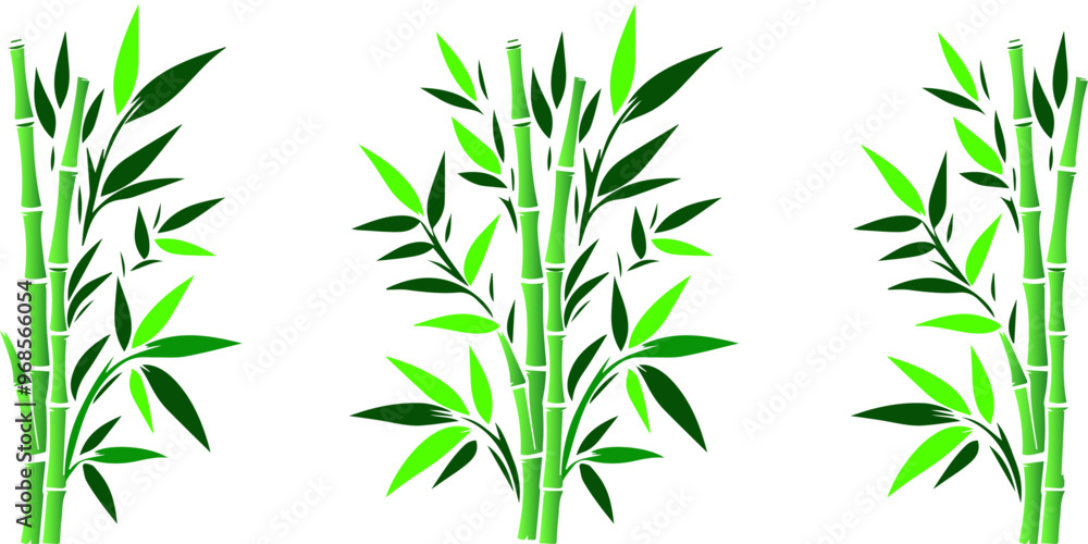 Fototapeta premium Bamboo plant white background