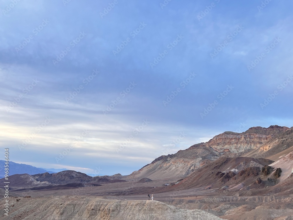 Naklejka premium Desert landscape