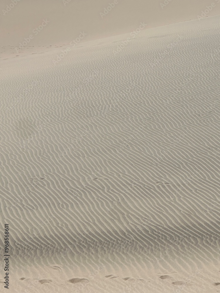 Obraz premium ripples in sand