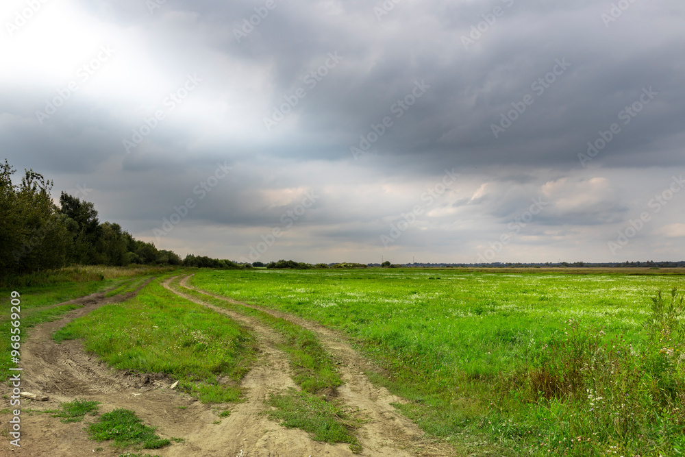 Obraz premium A field with a dirt road in the middle and a cloudy sky above