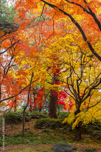 日本の風景・秋　東京都文京区　紅葉の六義園