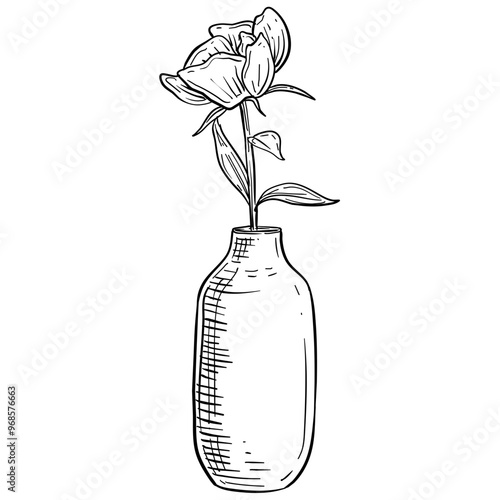 flower vase decoration handdrawn illustration