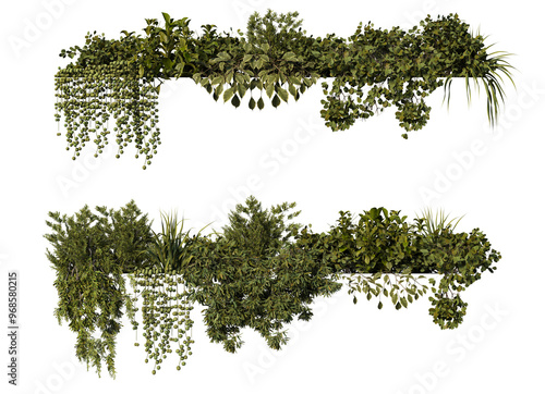 Fototapeta 3d render of many kinds of ivy on transparent background.