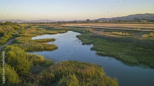 Bayland Park in California, showcasing marshland and infrastructure during the morning hours.