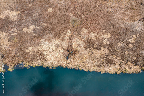 dried coastal grass on the bank of the river. autumn natural background. top down aerial view. photo