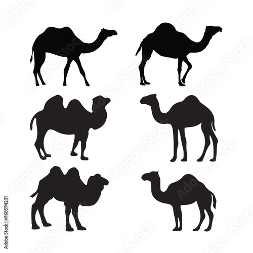 Set of Camel Silhouette