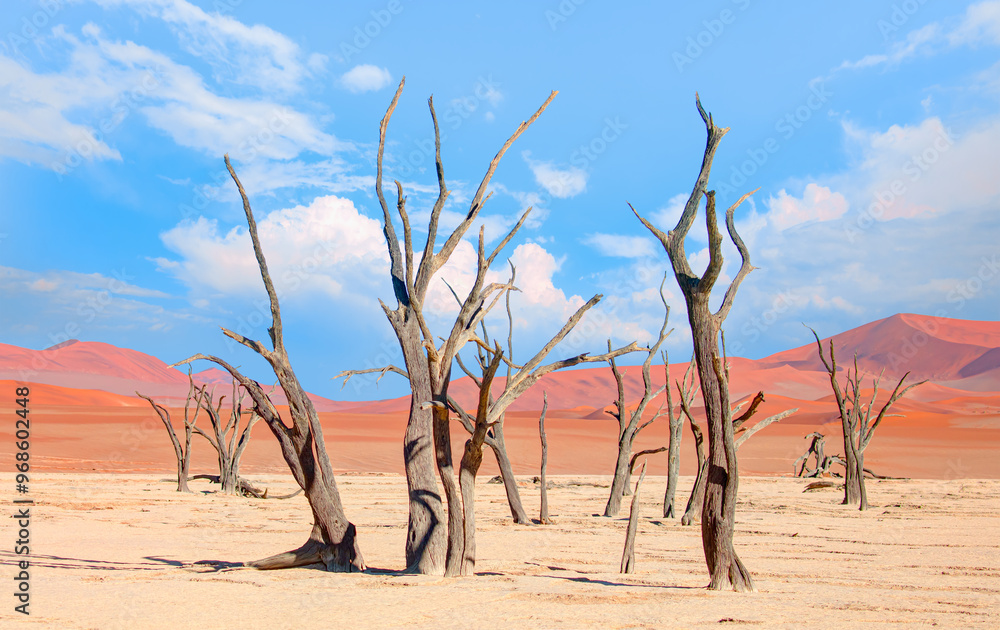 Dead trees in Dead Vlei - Sossusvlei, Namib desert, Namibia Dead trees in Dead Vlei - Sossusvlei, Namib desert, Namibia