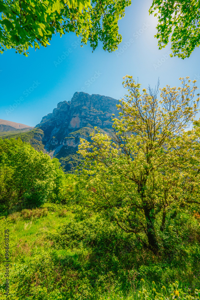 Vikos Gorge view from village vikos, a gorge in the Pindus Mountains of northern Greece Vikos Gorge view from village vikos, a gorge in the Pindus Mountains of northern Greece