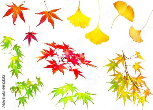 秋の紅葉イラスト素材セット1（モミジとイチョウ）