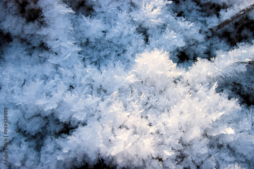 Frost on the leaves of the grass. The magic of the beginning of winter (frosted nature) Frost on the leaves of the grass. The magic of the beginning of winter (frosted nature)