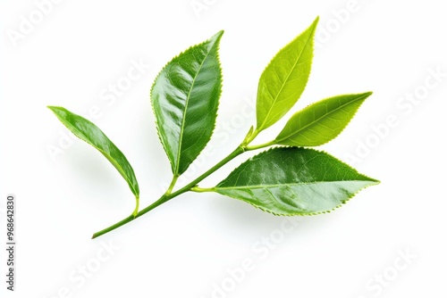 tea leaves with isolated white background 