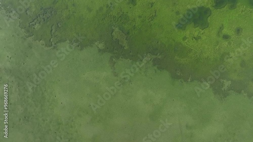 Aerial view of birds and humans on sandy terrain. photo