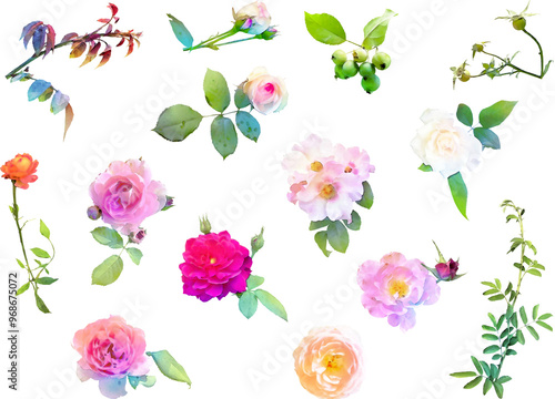 薔薇のイラスト素材セット7（ピンク系）