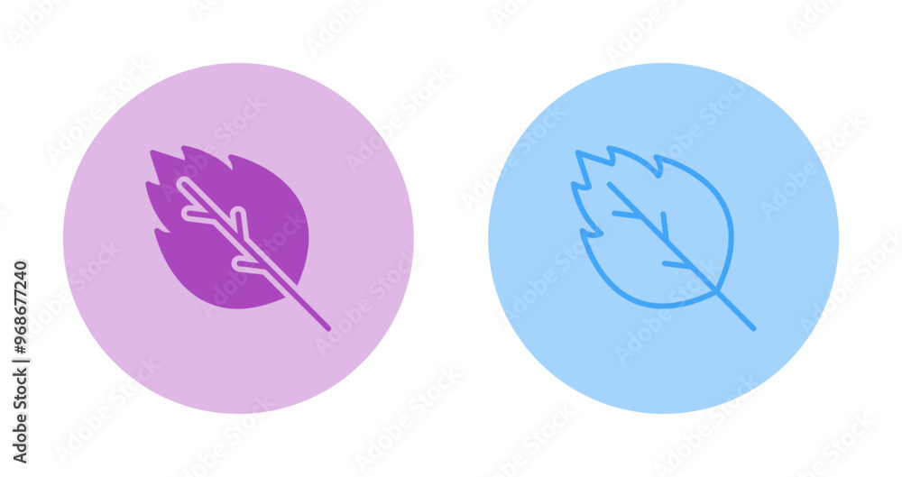 Obraz premium Oak leaf Vector Icon