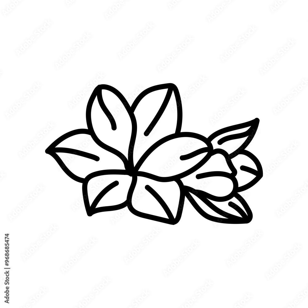 Orange Flower Outline Icon, Vector illustration Orange Flower Outline Icon, Vector illustration