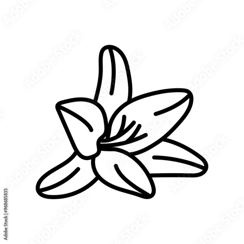 Asian Lily Outline Icon, Vector illustration