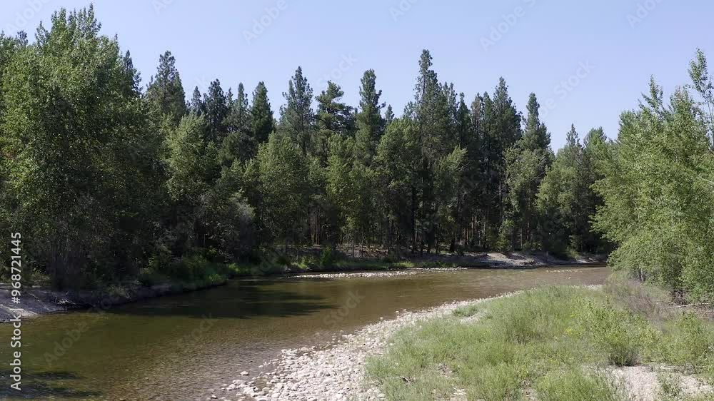 This is an aerial video pushing over a river in the wilderness in Montana in the summertime. This is an aerial video pushing over a river in the wilderness in Montana in the summertime.