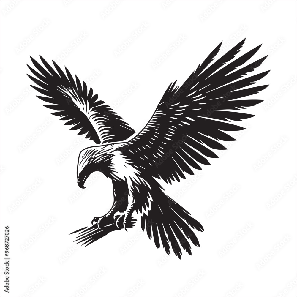 Obraz premium Philippine Eagle Silhouette Clipart - Eagle Bird Vector Illustration in black and white