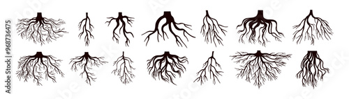 Tree roots silhouettes set. Wood growth, plant system, eco pattern, natural organic shapes. Bare underground forest branches. Botany elements. Flat vector illustration isolated on white background