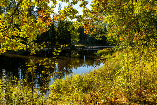 Swedish river and natural salomon area in autumn