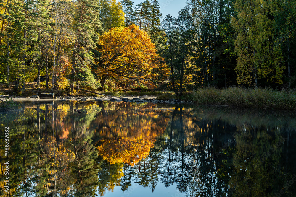 Fototapeta premium Swedish river and natural salomon area in autumn