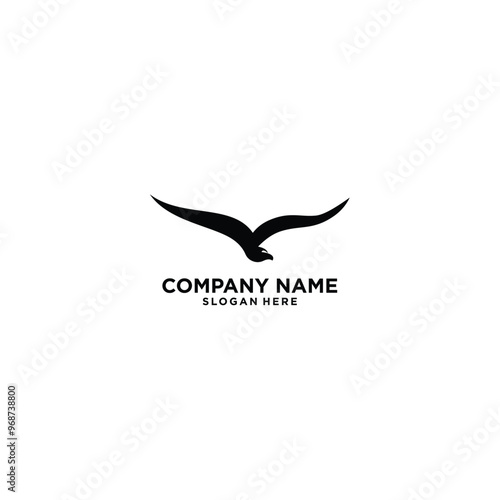 Bird logo design vector template