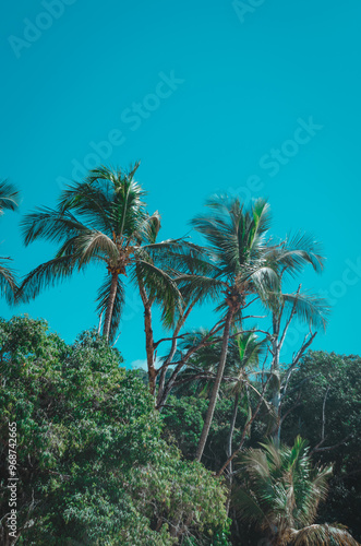 Praia do Jabaquara, Ilha Bela São Paulo Brasil. photo