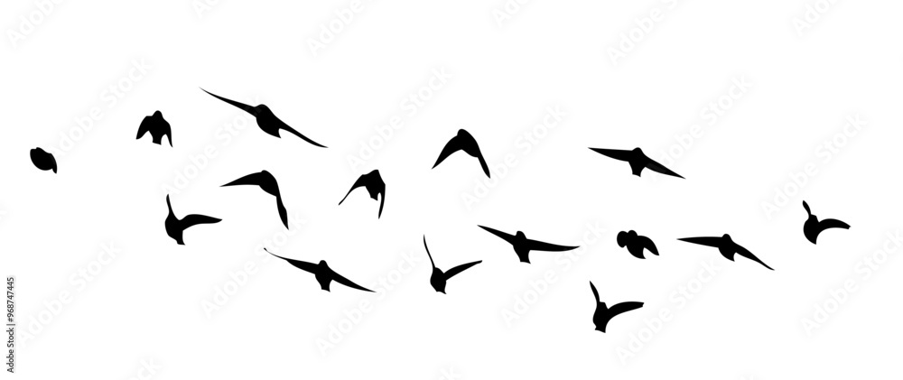 Φωτογραφία Flying birds silhouette flock