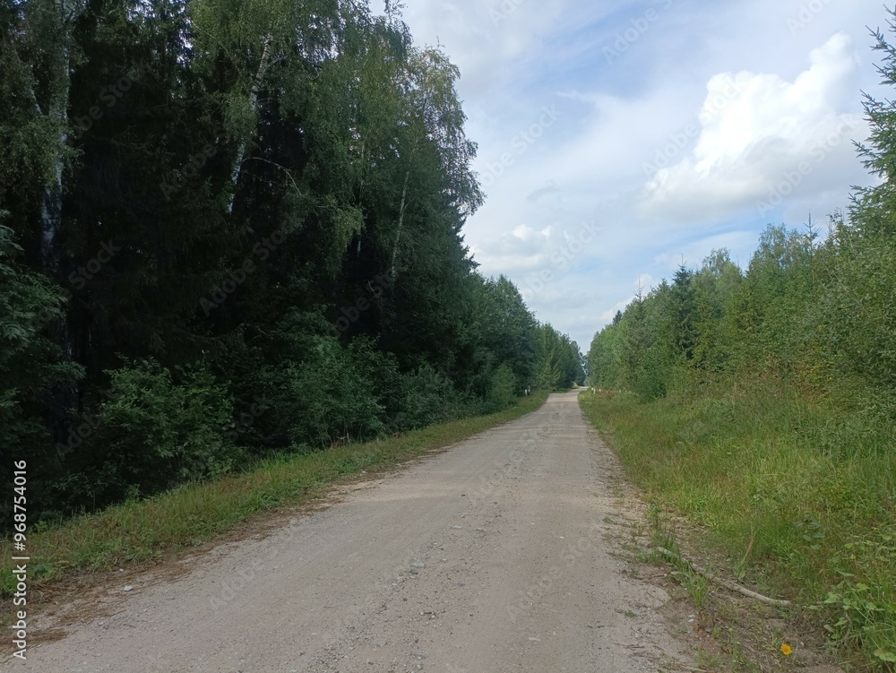 Road in forest in Siauliai county during sunny summer day. Oak and birch tree woodland. Sunny day with white clouds in blue sky. Bushes are growing in woods. Sandy road. Nature. Summer season. Miskas. Road in forest in Siauliai county during sunny summer day. Oak and birch tree woodland. Sunny day with white clouds in blue sky. Bushes are growing in woods. Sandy road. Nature. Summer season. Miskas.