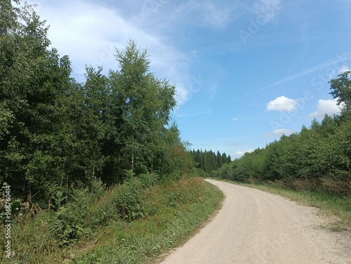 Road in forest in Siauliai county during sunny summer day. Oak and birch tree woodland. Sunny day with white clouds in blue sky. Bushes are growing in woods. Sandy road. Nature. Summer season. Miskas.