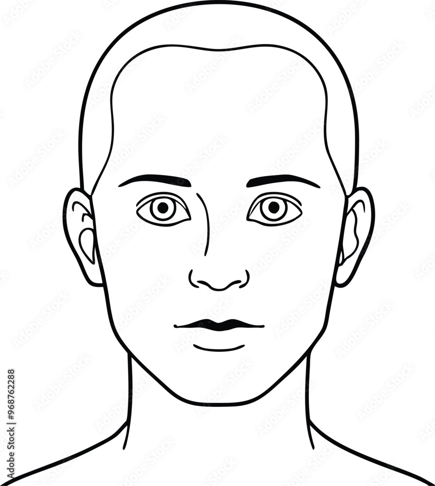 Adult man face and head (without hair), eyes open. Blank male head ...