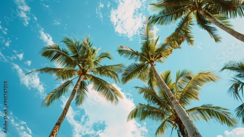 Beautiful Summer Beach Background with Palm Leaves and Ocean View