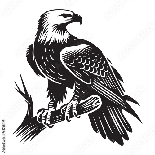 Bald eagle Silhouette Clipart - Eagle Bird Vector Illustration in black and white