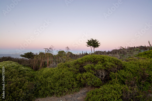 San Francisco Bay Area in the evening light