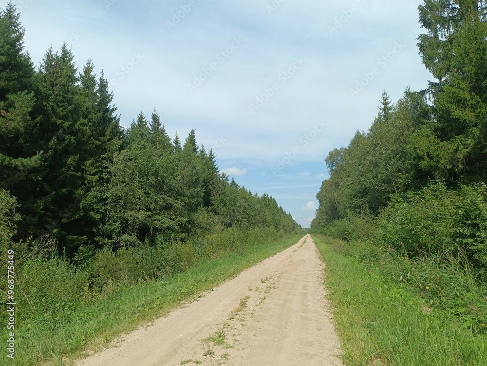 Road in forest in Siauliai county during sunny summer day. Oak and birch tree woodland. Sunny day with white clouds in blue sky. Bushes are growing in woods. Sandy road. Nature. Summer season. Miskas. Road in forest in Siauliai county during sunny summer day. Oak and birch tree woodland. Sunny day with white clouds in blue sky. Bushes are growing in woods. Sandy road. Nature. Summer season. Miskas.