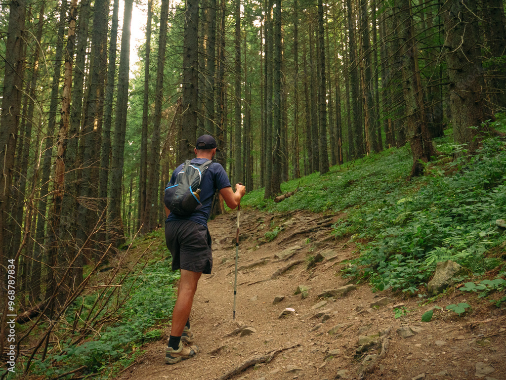 A hiker makes their way up a steep, dirt trail through a lush forest. The scene captures the challenge of trekking through wilderness, perfect for outdoor adventure and nature exploration themes. A hiker makes their way up a steep, dirt trail through a lush forest. The scene captures the challenge of trekking through wilderness, perfect for outdoor adventure and nature exploration themes.