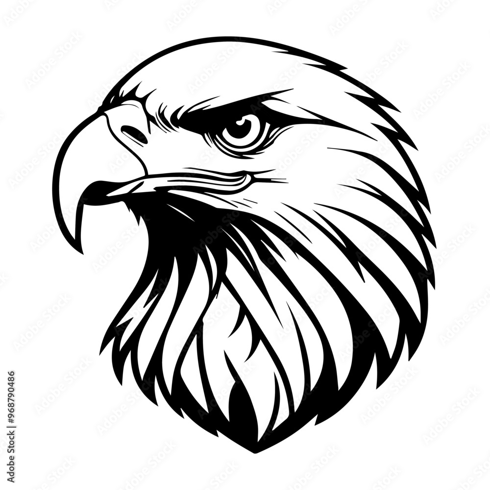 Fototapeta premium Eagle head illustration, Isolated on black background.