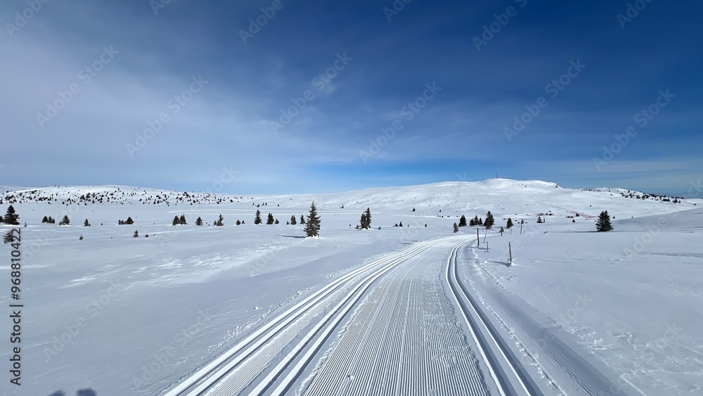 snow covered road