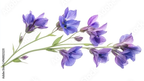 A delicate arrangement of purple flowers on a white background.