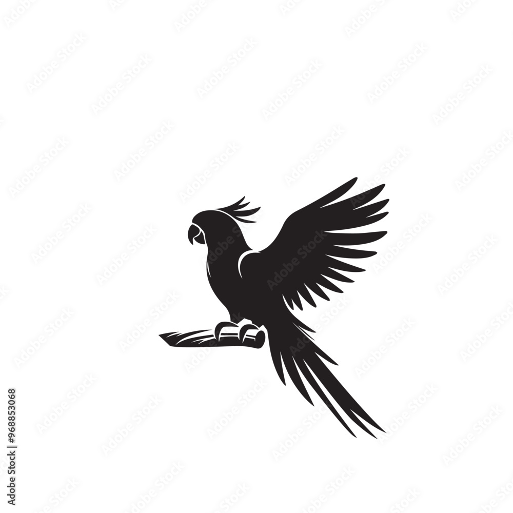 Parrot silhouette. Parrot vector design. Parrot logo, icon black and white. Parrot silhouette. Parrot vector design. Parrot logo, icon black and white.