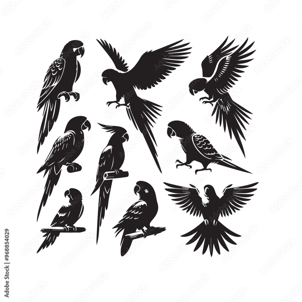 Fototapeta premium Parrot silhouette. Parrot vector design. Parrot logo, icon black and white.