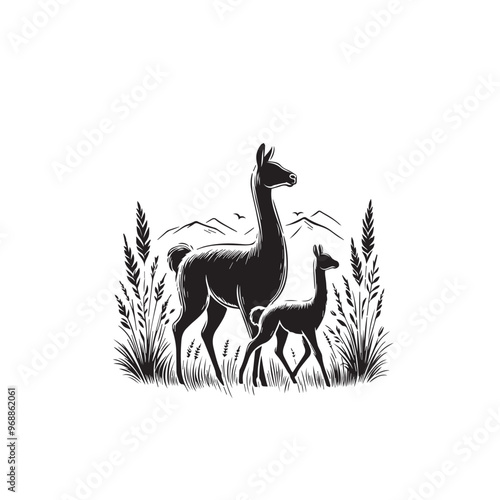Vicuña Silhouette design. Vicuña Silhouette vector design. Llama vector design. Llama logo.