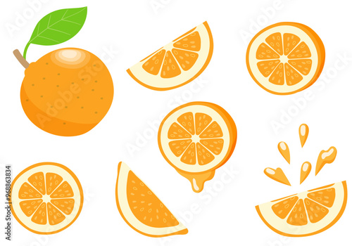 いろいろなオレンジのセットのベクタイラストレーション